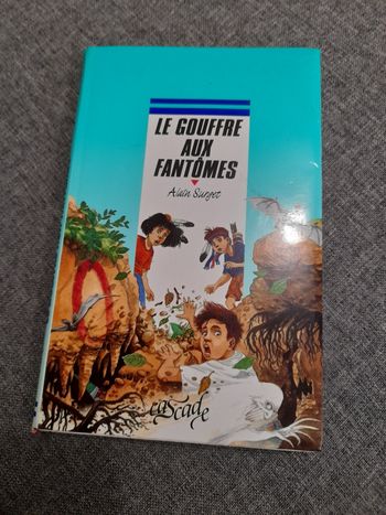 Livre le gouffre aux fantômes