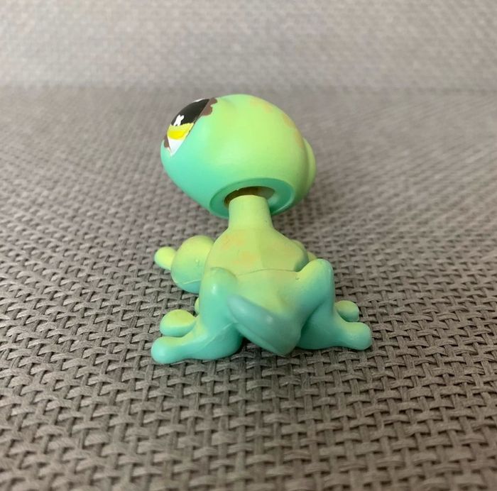 Petshop Lézard - 2€ l’unité - photo numéro 3