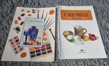 Lot 2 livres pour apprendre l'aquarelle