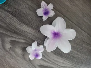 Pince fleur des îles Lot de 3 vilolet