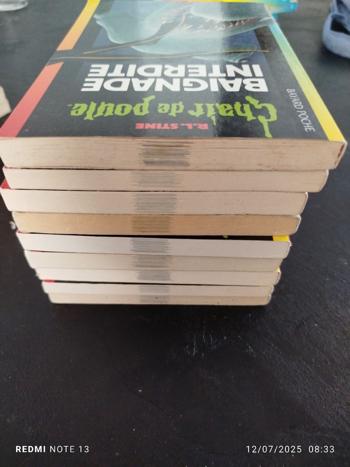 9 livres chair de poule - photo numéro 5