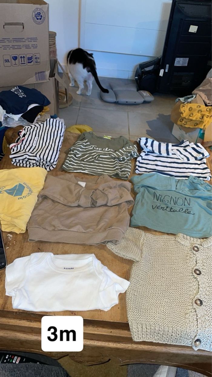 Vêtement garçons 3mois