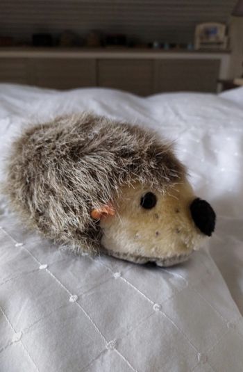 Peluche Hérisson