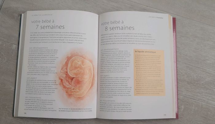 Livre maternité - photo numéro 2