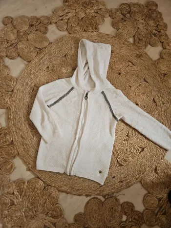 Gilet a capuche