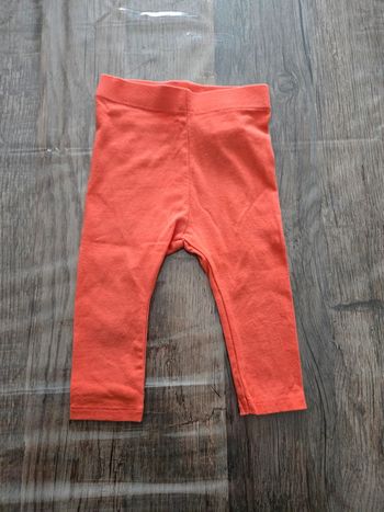Leggings orange