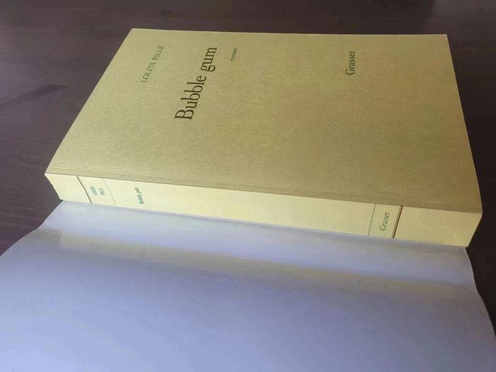 Livre Bubble Gum de Lolita Pille - photo numéro 3