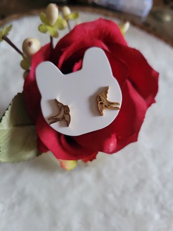 Clous d oreilles acier hirondelles