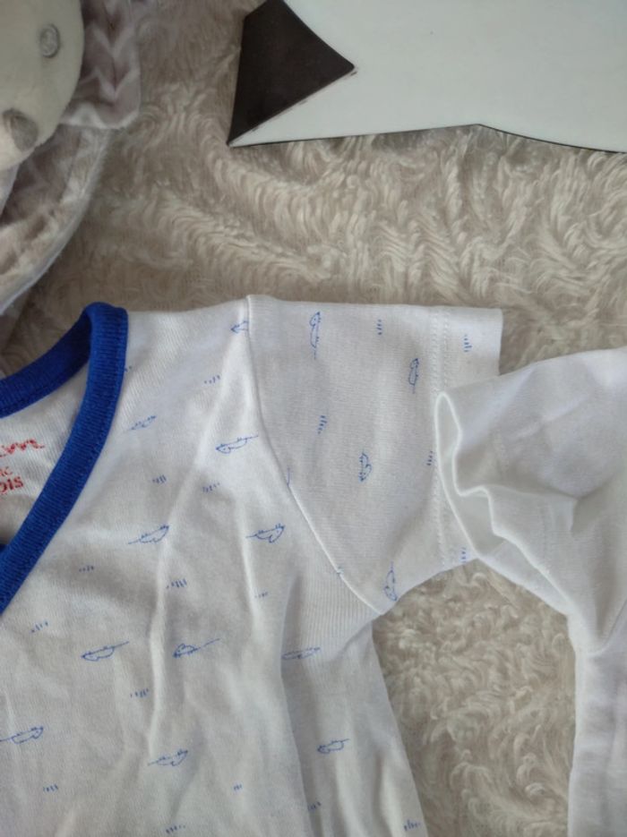 Lot de 2 bodies croisés manches courtes Mixte 6 mois souris Dpam 100% coton - photo numéro 5