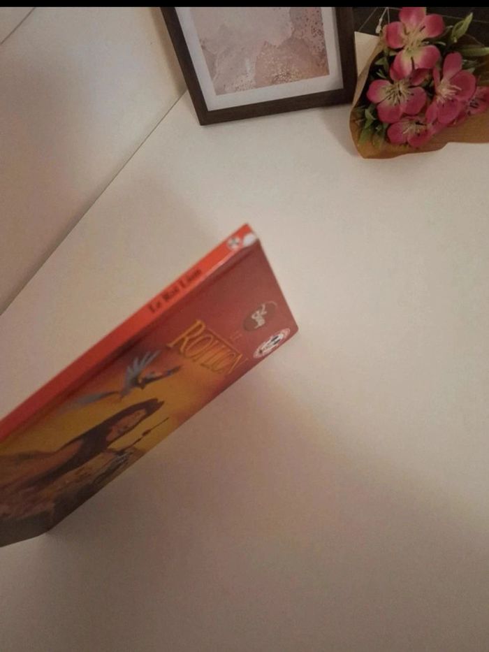 Livre Disney le roi lion très bon état - photo numéro 5