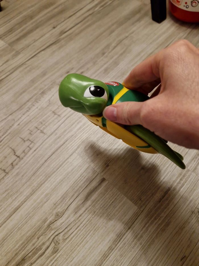 Jeu tortue - photo numéro 4