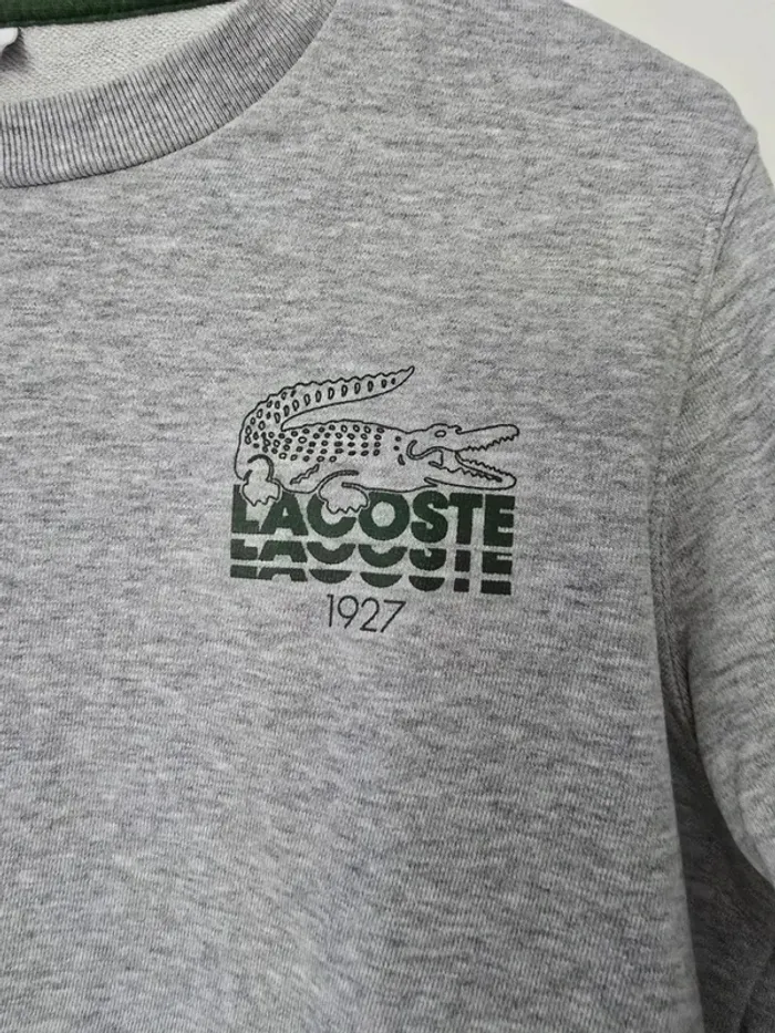 Sweat lacoste - photo numéro 2