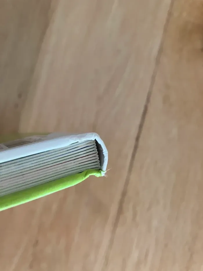 Livre coccinelle - photo numéro 5