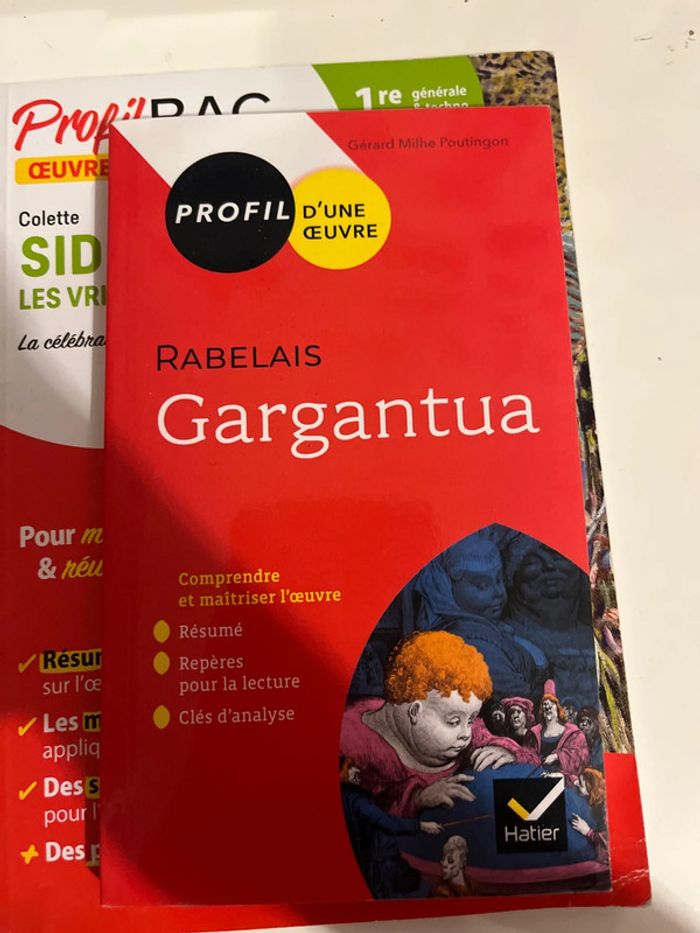 Profil bac - photo numéro 4