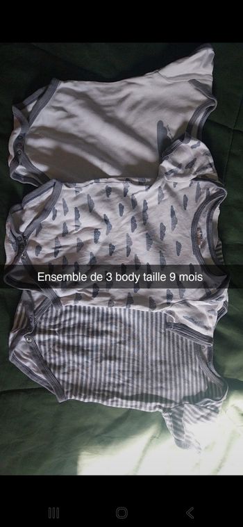 Lot bodies