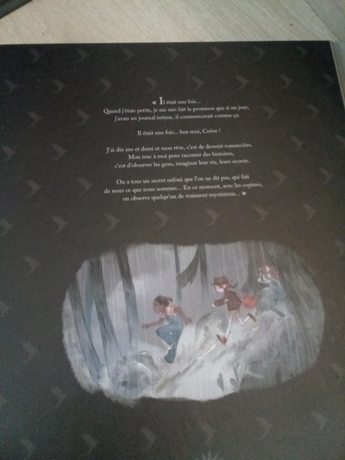 Lot de 4 grandes bd - photo numéro 11