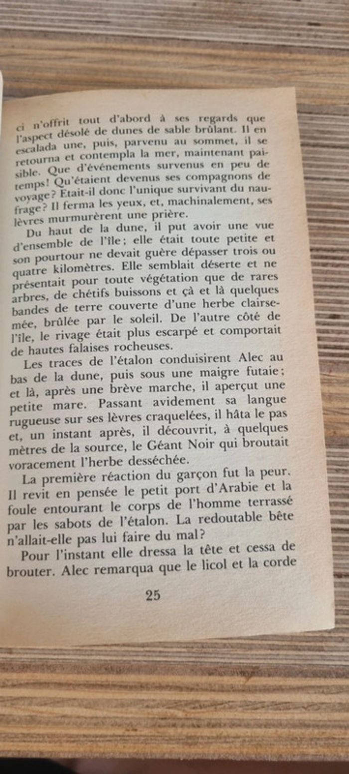 L'étalon noir - photo numéro 4