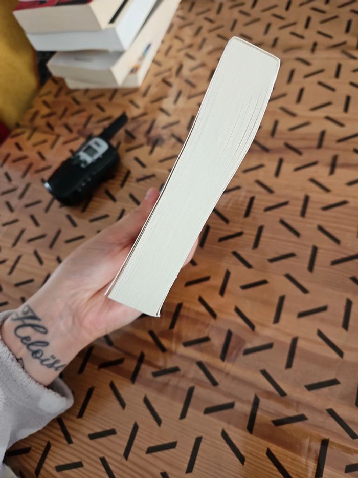 Livre Marie-sabine Roger - photo numéro 4