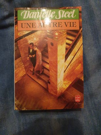 Magnifique roman D steel