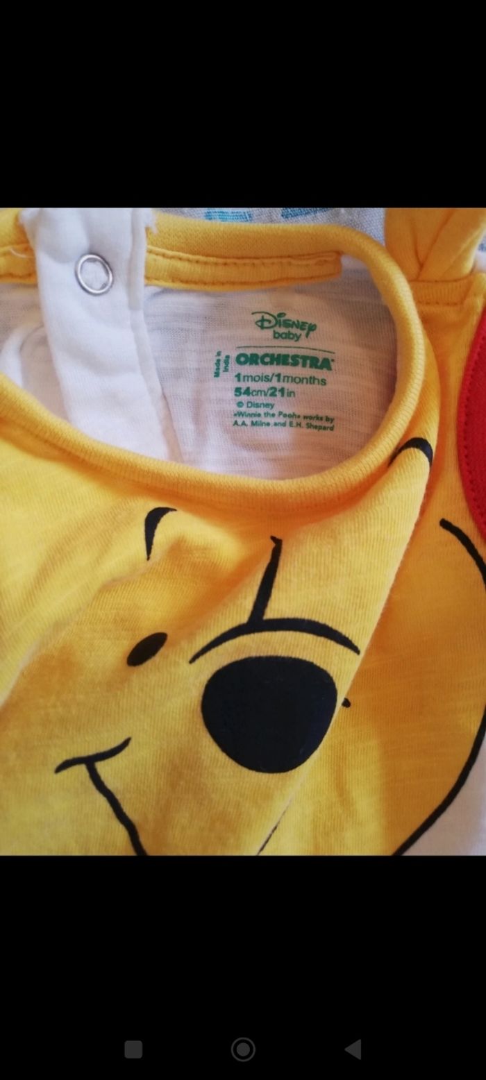 Lot Winnie l'ourson - photo numéro 2