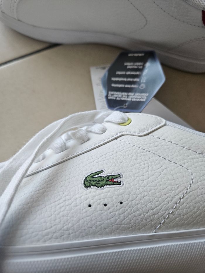 Baskest lacoste pointure 40 - photo numéro 3