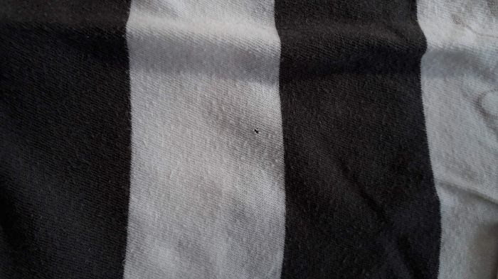 Polo rayé - photo numéro 4