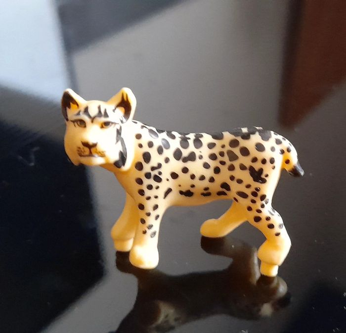 Collection kinder - FS019