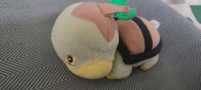 peluche pokemon tortipouss