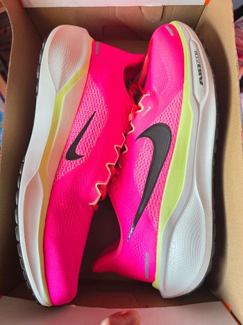 Nike air zoom pegasus 41