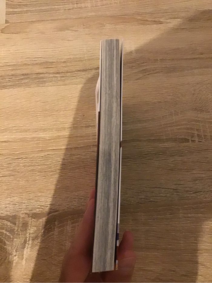 Manga Goblin Slayer Tome 12 très bon état collection livre - photo numéro 4