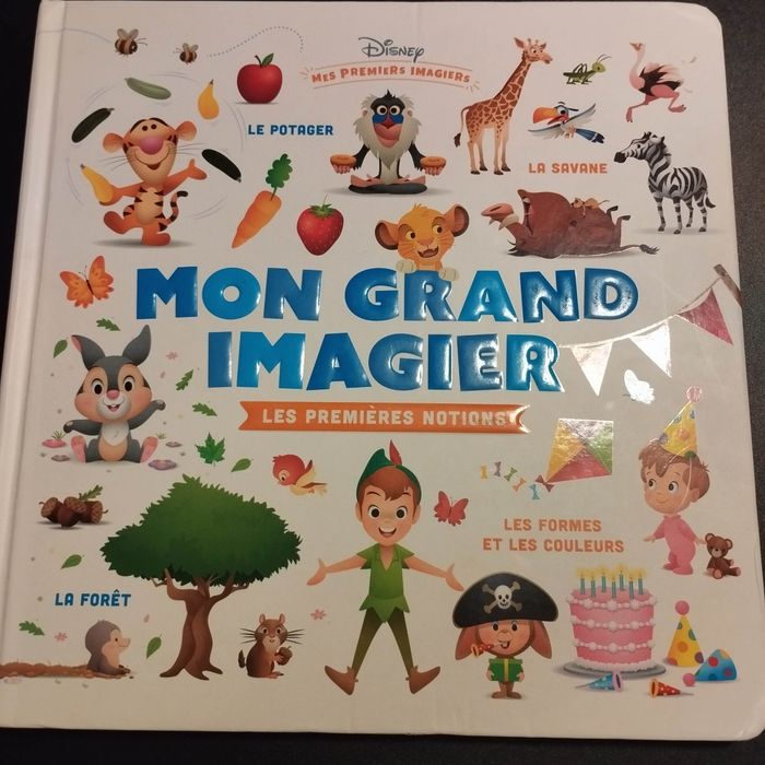 Livre Disney mes premiers imagiers mon grand imagier les premières notions