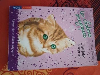 Les chatons magiques - une jolie surprise
