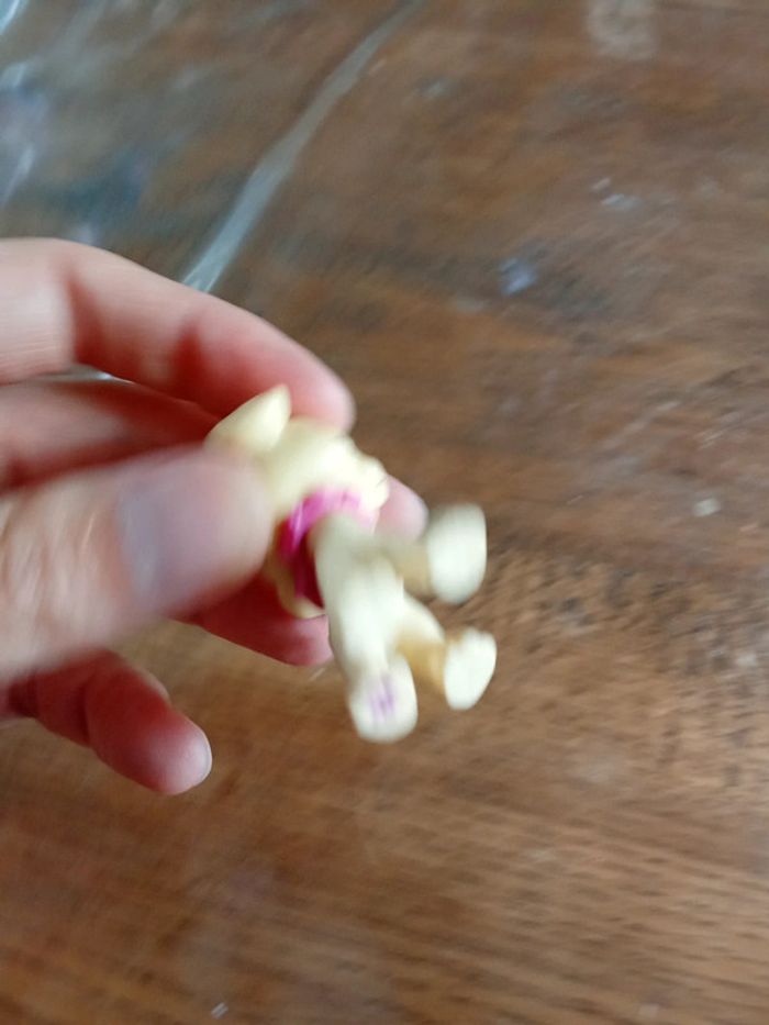 Chien Polly pocket - photo numéro 3