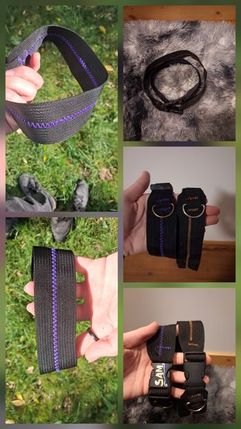 Collier personalisable pour chien et chat