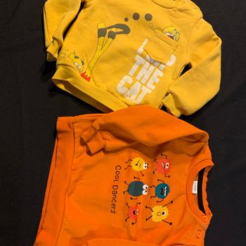 Lot 2 sweat/pulls 12 mois Cool dancers