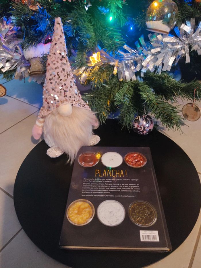 Plancha et barbecue - photo numéro 2