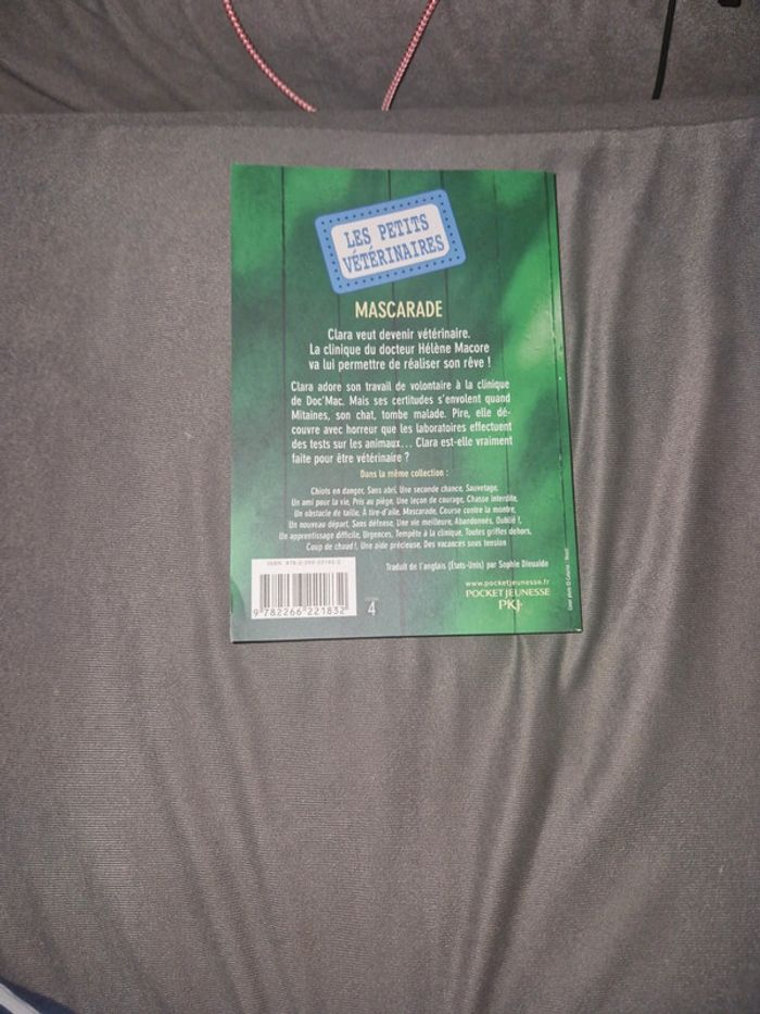 Mascarade - photo numéro 3