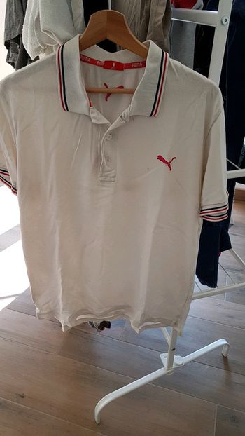 Polo puma
