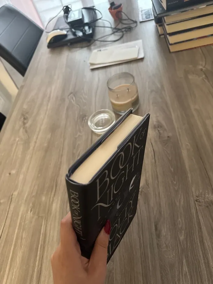 Holly Black - Book of Night - photo numéro 4