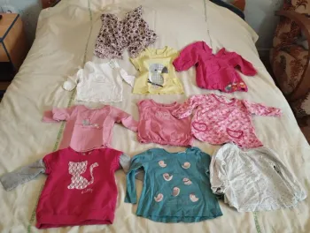 Lot haut Tshirt blouse 9 mois