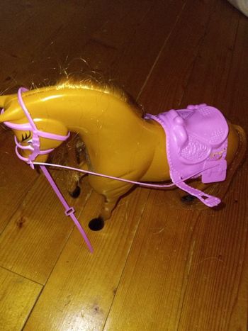 Cheval Barbie