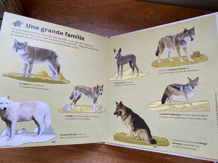 Dokeo le loup - photo numéro 8