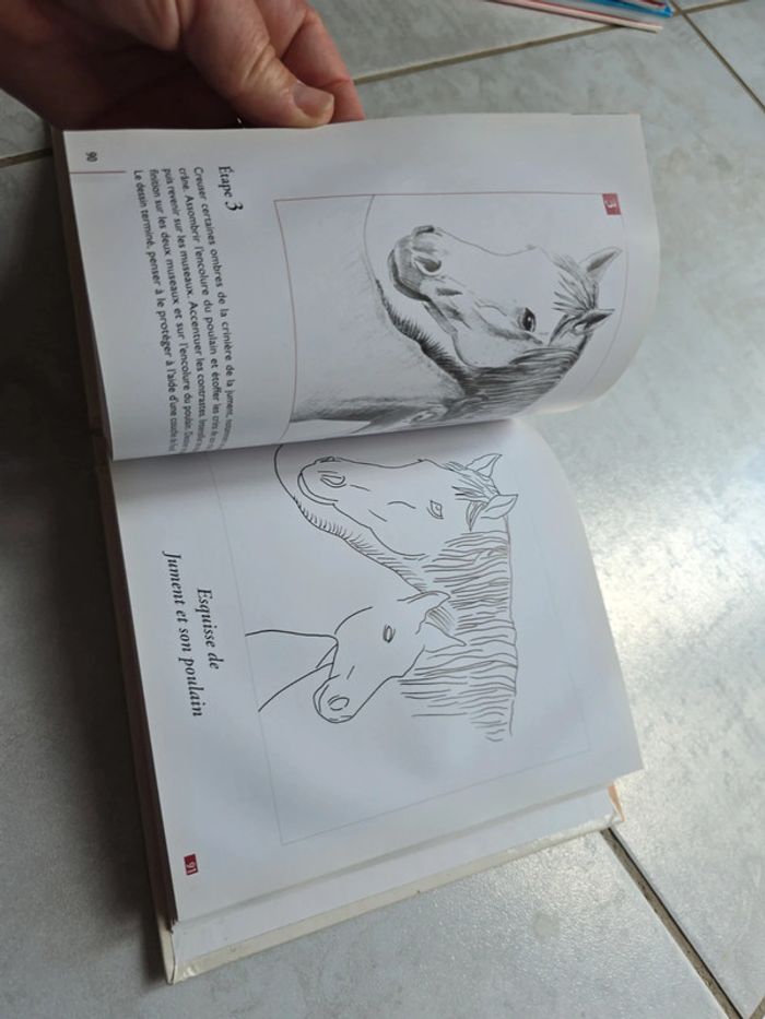 Dessiner des animaux #orianabllivre - photo numéro 2