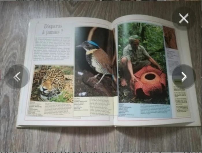 Livre la vie des forêts tropicales - photo numéro 4