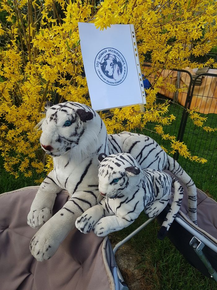 Peluche maman et bébé tigre blanc