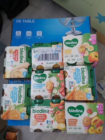 Bledina 6m et plus