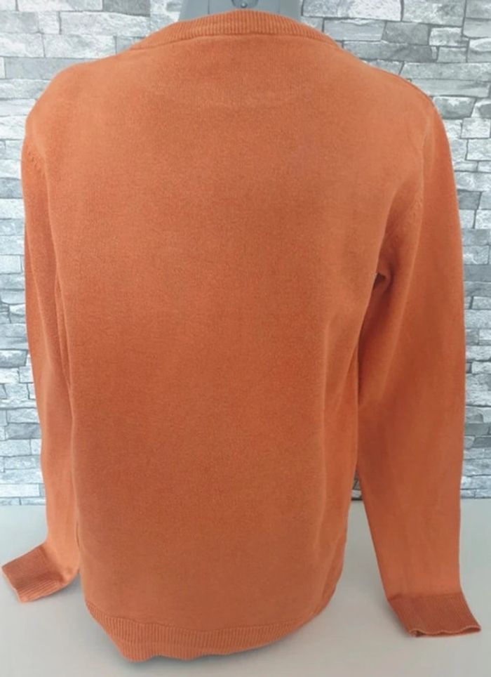 Pull tigre 8 ans - photo numéro 2