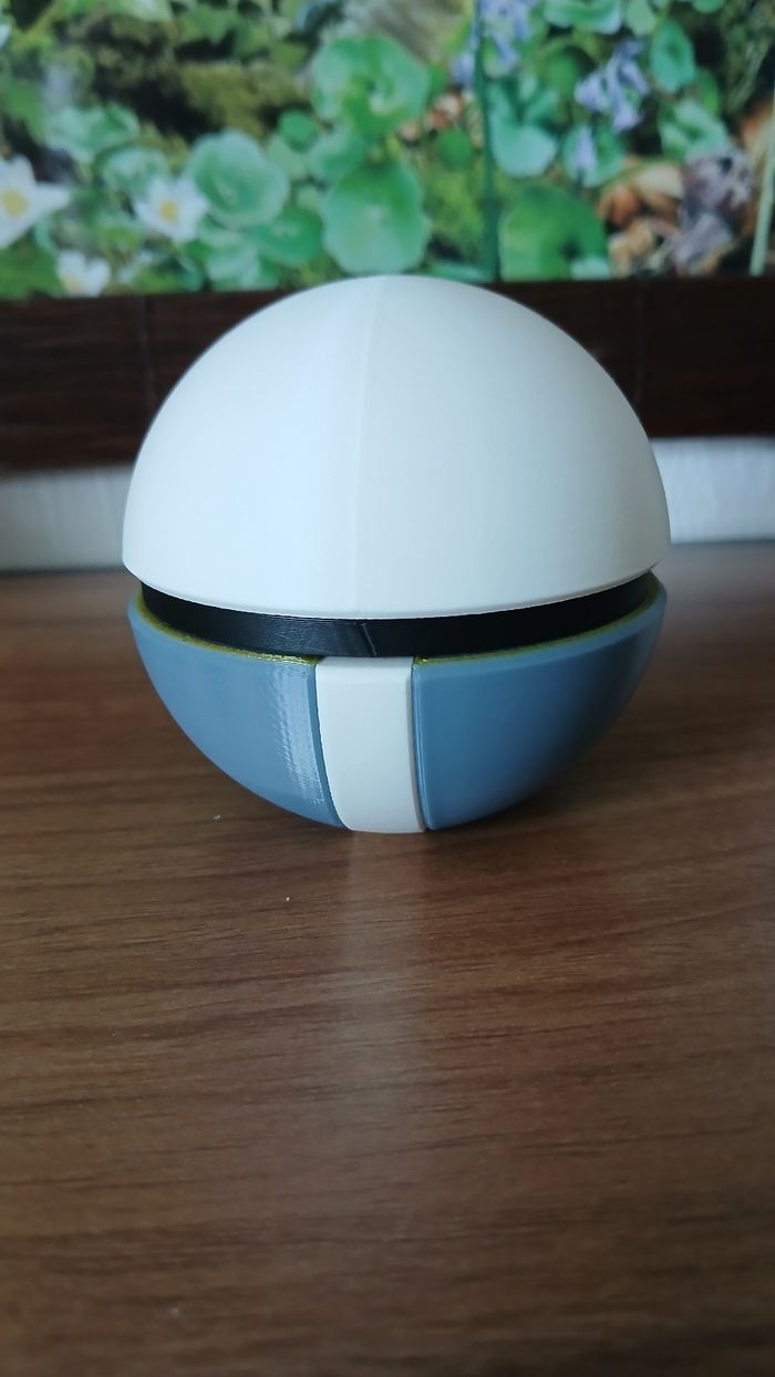Pokeball Team galaxie - photo numéro 2