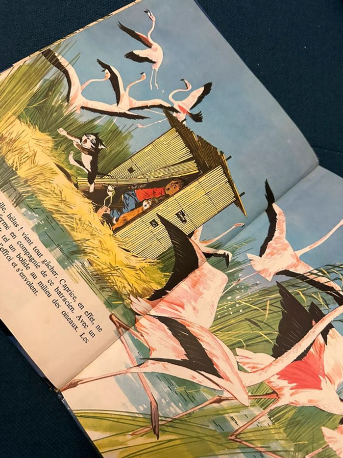 1970 Livre ancien Fanfan et l’ours de Camargue Pierre Probst Grands albums Hachette - photo numéro 5