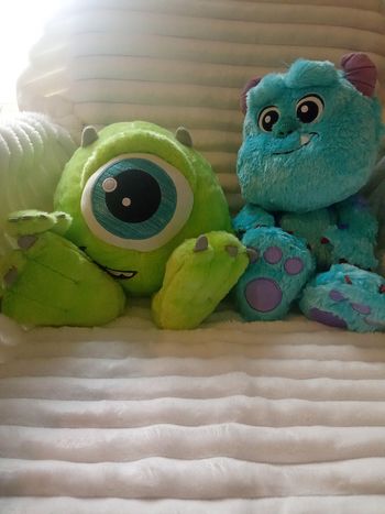 Big feet duo bob et Sully